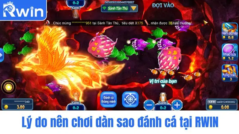 Lý do nên chơi dàn sao đánh cá tại BL555