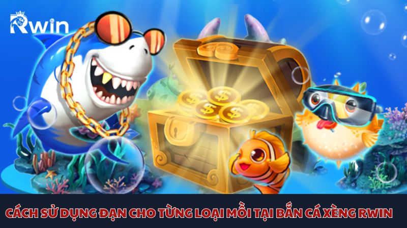 Cách săn mồi thành công nhờ sử dụng đạn phù hợp với từng loại cá